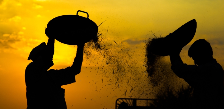 Employment and wellbeing often don’t correlate