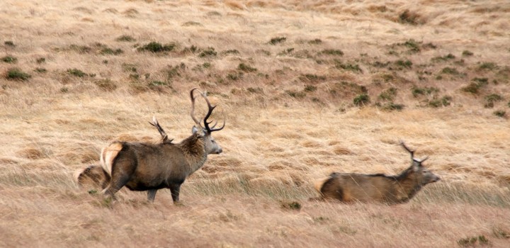 Environmental Justice Project Funded for 3 Years