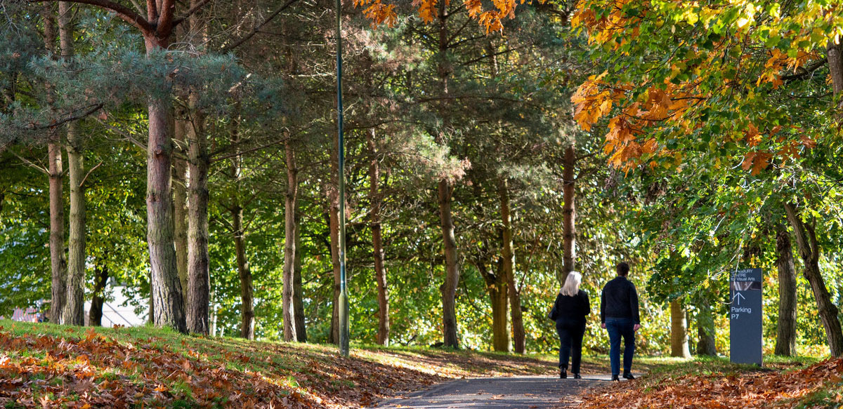 Higher Times Ranking