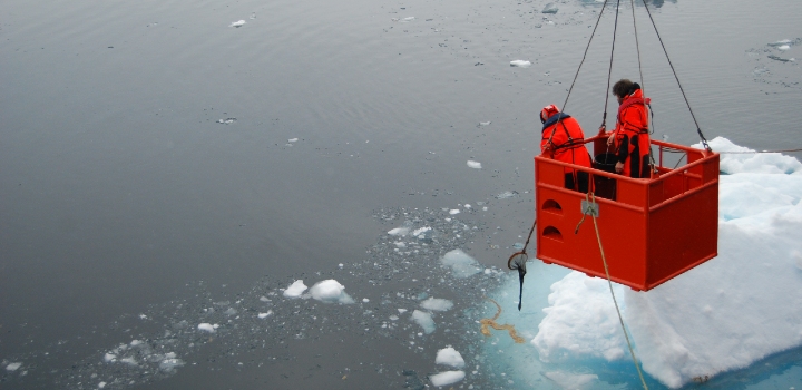 How climate change could impact algae in the global ocean