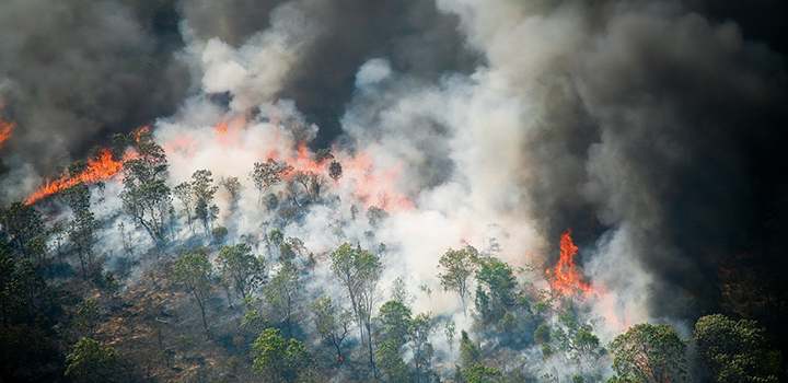 Human activity has degraded more than a third of remaining Amazon rainforest