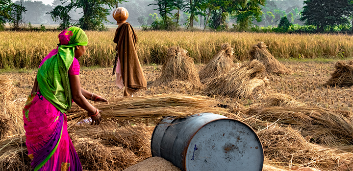 Indian women in agriculture lack skills training and opportunities