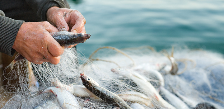 Millions missing out on their share of the 424 billion aquatic food industry