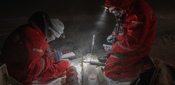 New dataset reveals biological treasure trove of Arctic Ocean