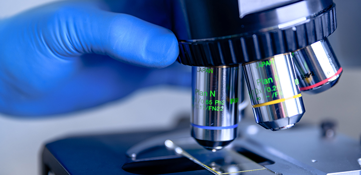 Over four million award to investigate pioneering biological electronics