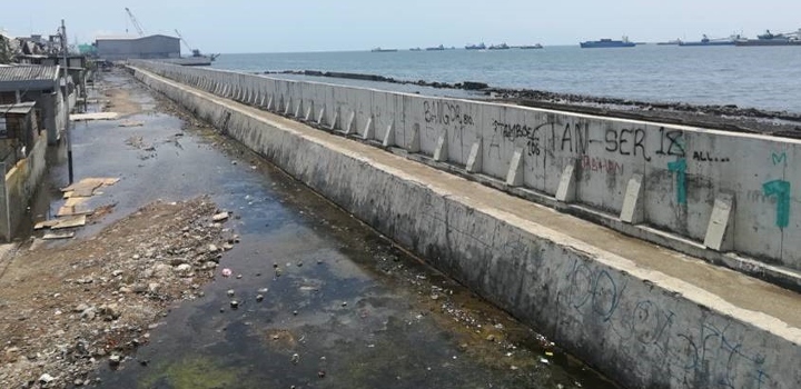 News+ENV+ +Prof+Robert+Nicholls+ +Sea+level+rise+ +In text+image+2