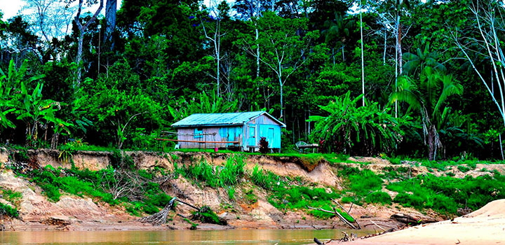 Study reveals impact of wild meat consumption on greenhouse gas emissions