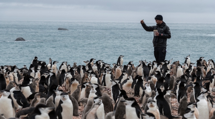 News+3+ +ENV+Aldina+Franco+ +Penguins+ +credit+Christian+Aslund