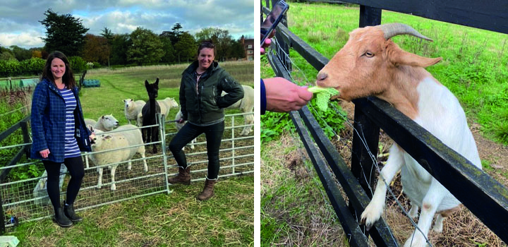 The Occupational Therapy student using nature to nurture wellbeing