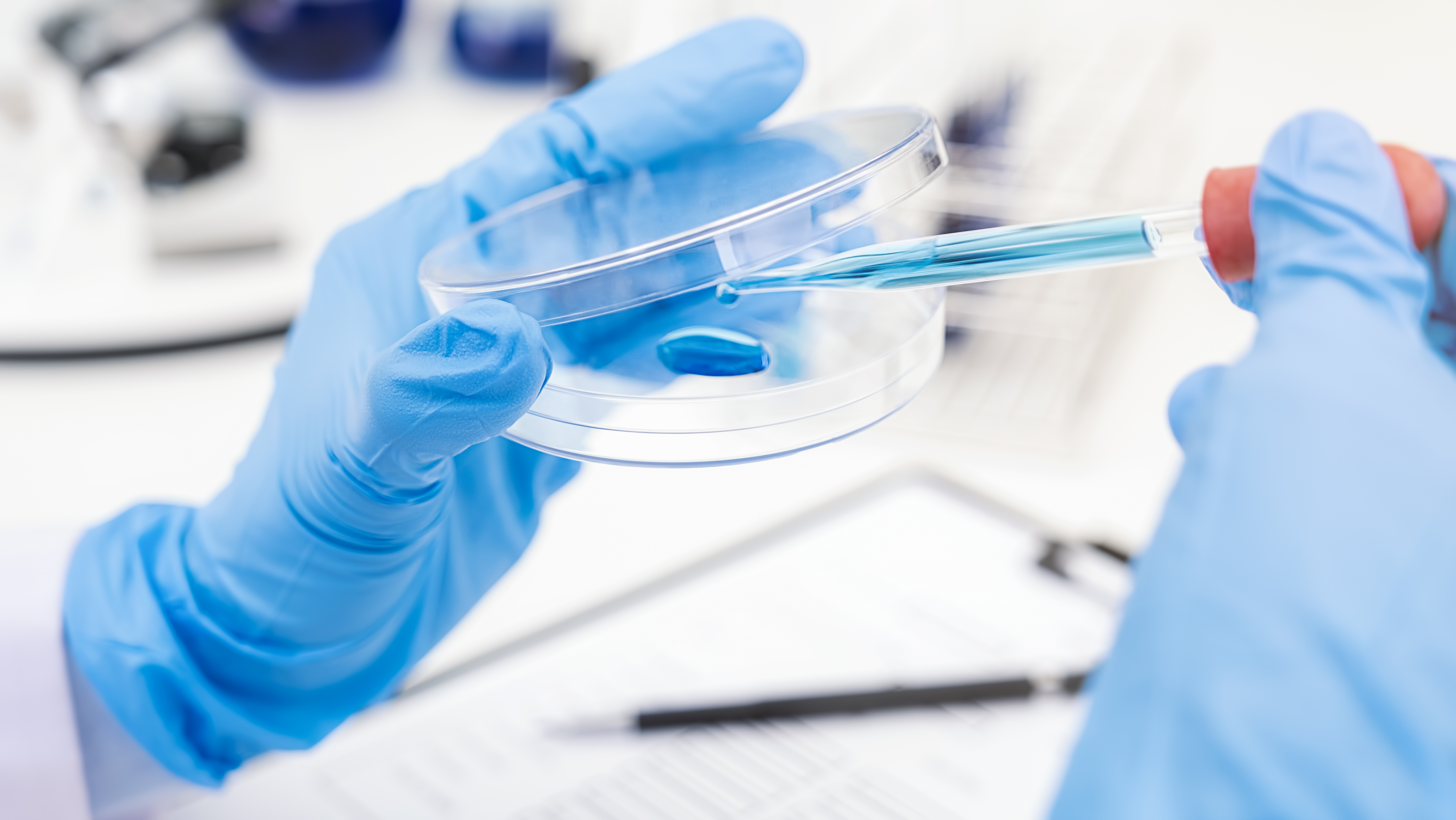 A gloved hand holding a petri dish