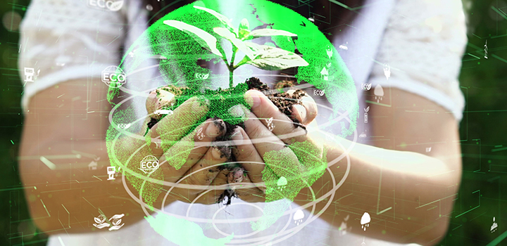 Plant in someone's hands