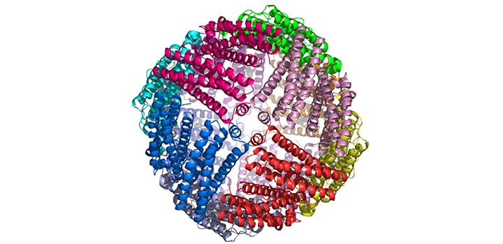 Unusually high anti-oxidant activity discovered in bacterial iron-storing protein